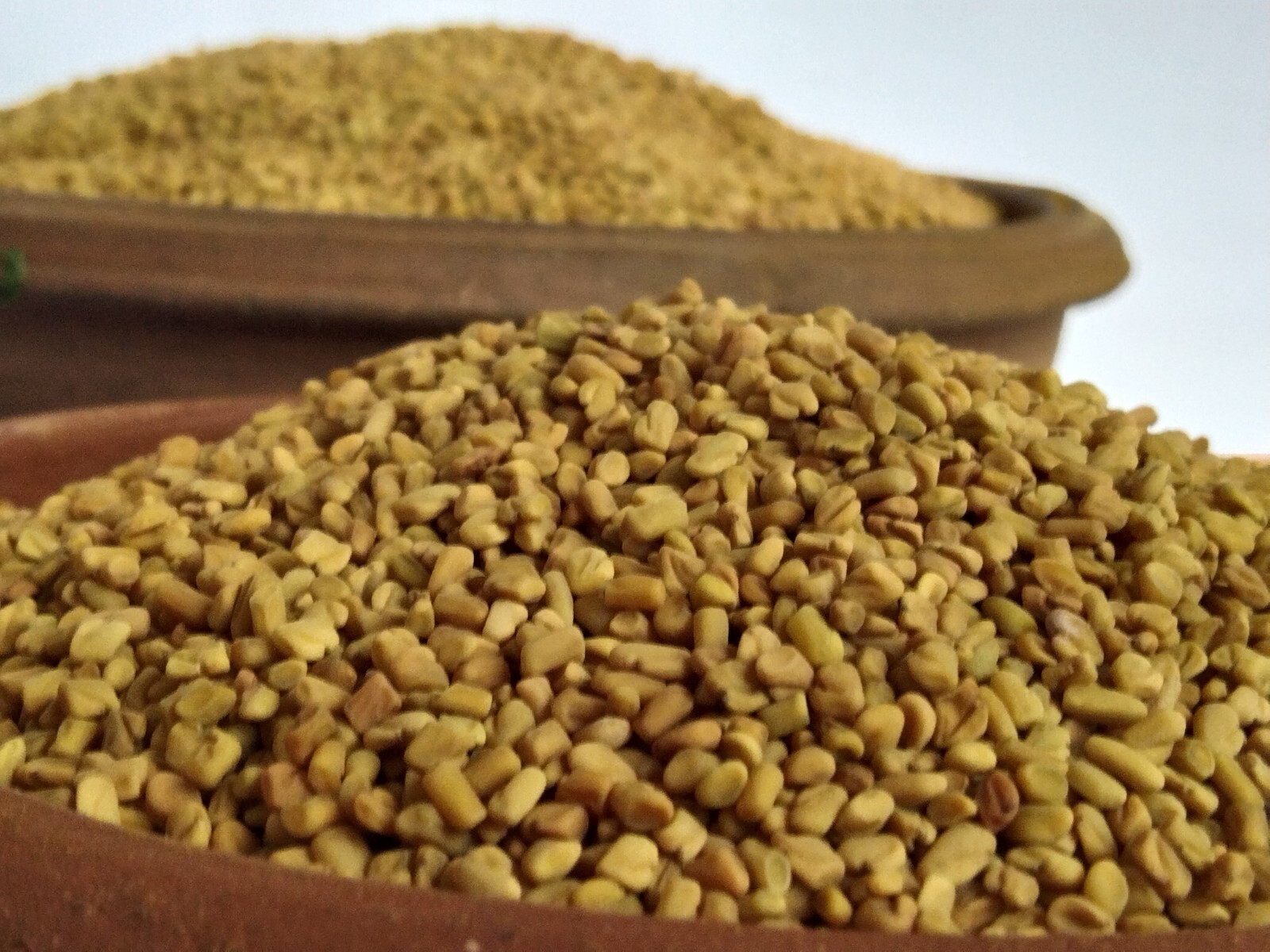 Fenugreek whole Seed 50g New Quality Pure Organic natural Ceylon herb spice NEW