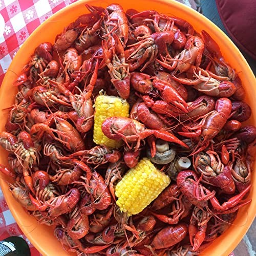 Zatarain’s Crawfish, Shrimp & Crab Boil, 3 oz 3 Ounce (Pack of 6), Yellow