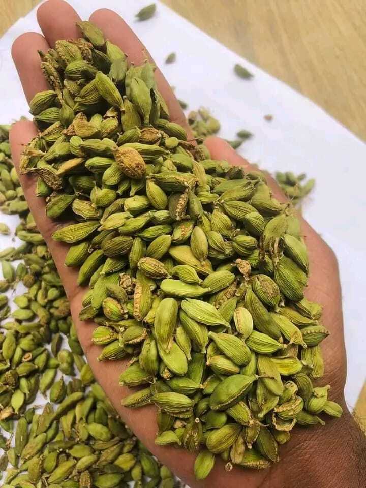 Cardamom Pods|Seeds-Choti Elaichi-Green Cardamom|20g+Free Shipping