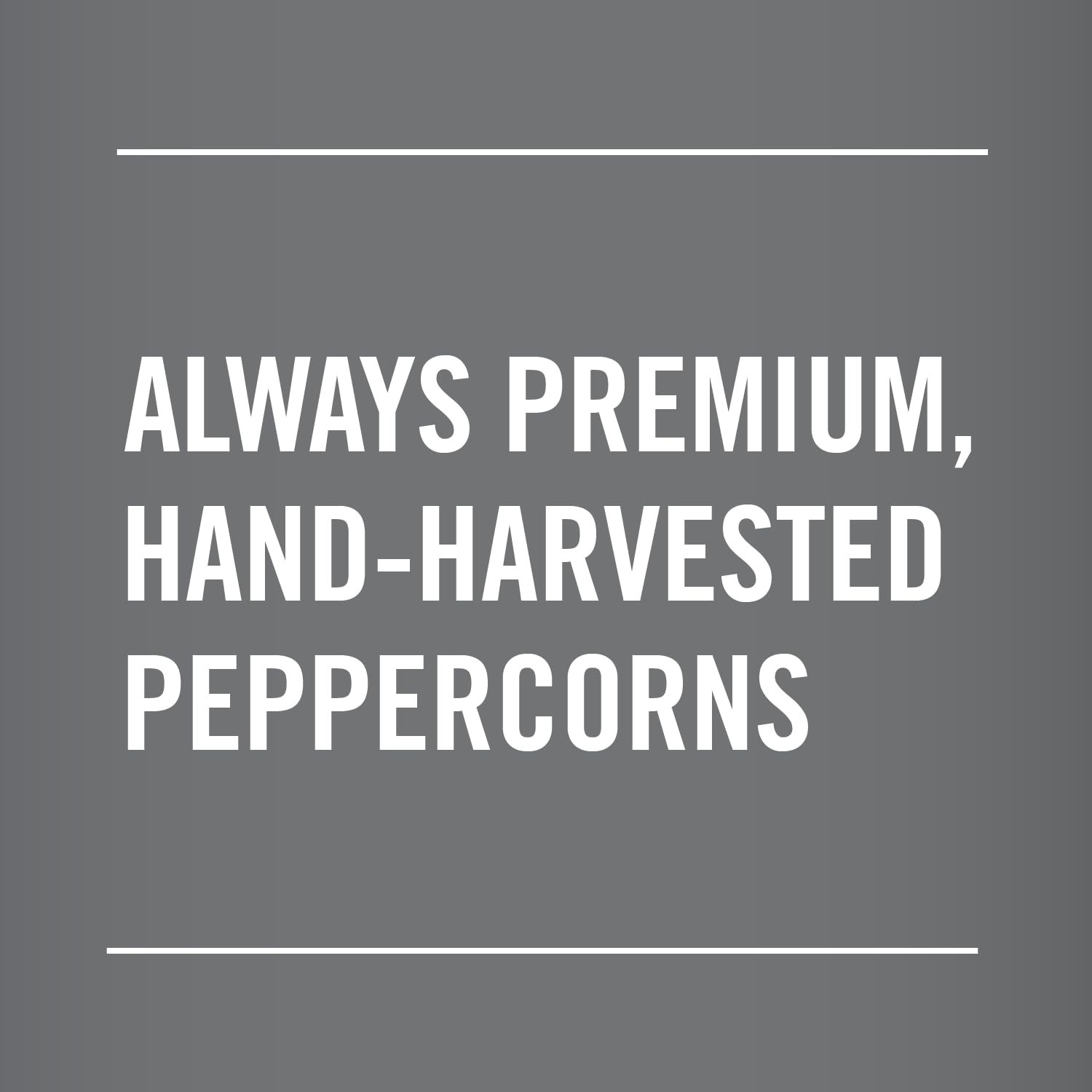 Versatile Whole Black Peppercorns – 17.5 oz for All Your Culinary Creations