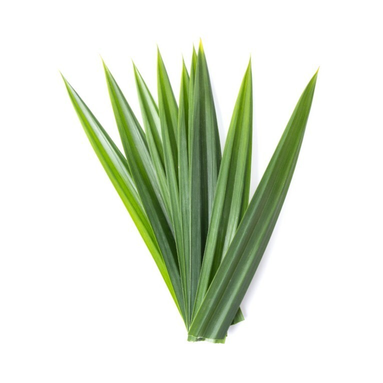 Dried Pandan Leaves Sri Lankan Rampe Leaves Spice Natural Pure 50g from CEYLON