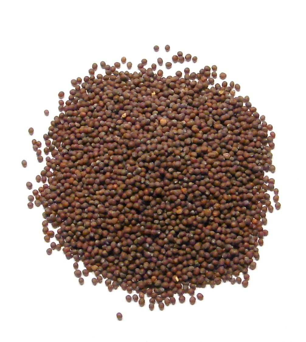 Laxmi Mustard Seeds 7oz Pack Authentic Indian Cooking Spice Fresh Flavor