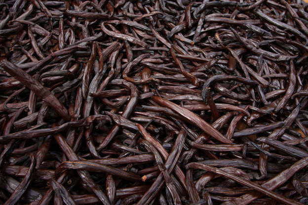 25 ORGANIC Madagascar Gourmet Vanilla Beans Grade A, Whole Beans for Baking