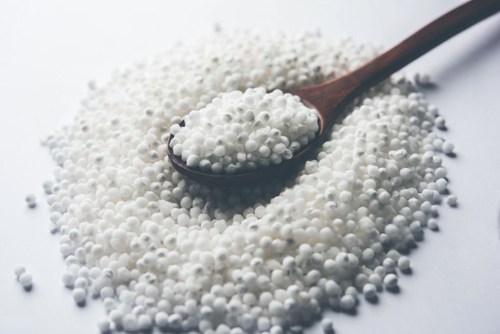 Sago Natural Organic Pure 100% Fresh Cereal Sri 500 g Lankan Free Shipping Seeds