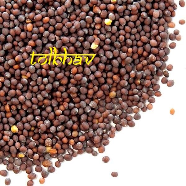 100% Certified Organic Natural Pure Mustard Seed Spice Masala Best from India