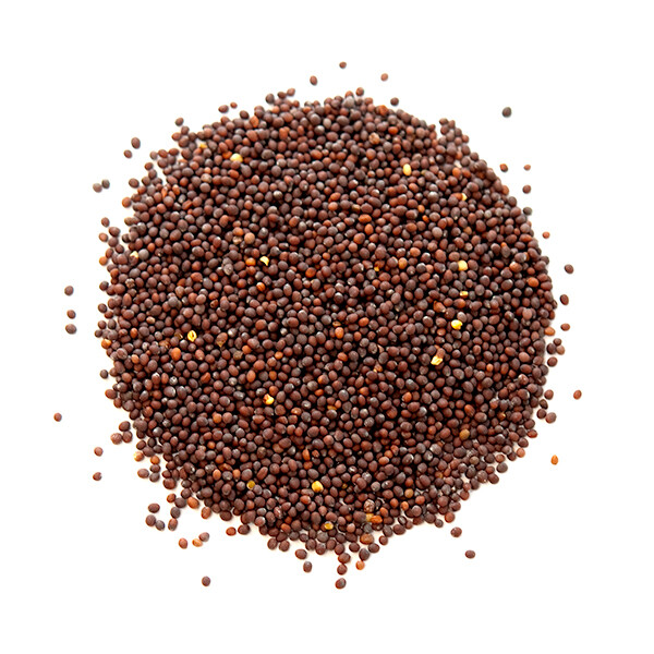 Brown Mustard Seed – 16 oz.