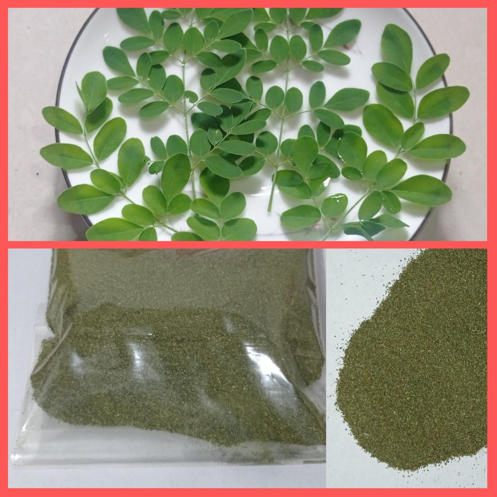 Solar Dried Pure Moringa Leaves Powder 100 g. 100% Sri Lankan (Ceylon)