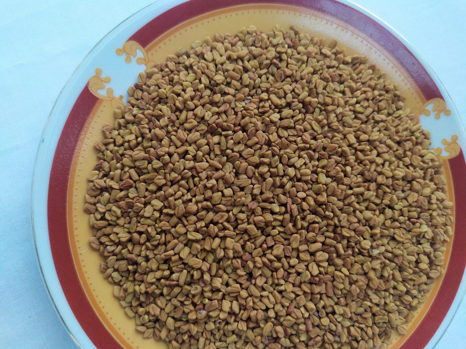 Ceylon Organic FENUGREEK Seeds Whole, Quality Pure Natural Spices Freeshipping