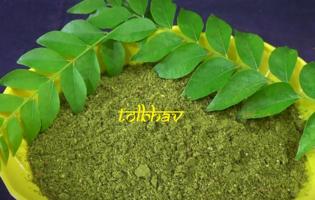 100% Natural Fresh Dried Curry Leaves powder from Southern India