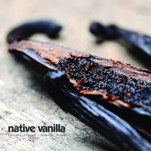 10 Organic Madagascar Vanilla Beans – Gourmet Grade A Premium Vanilla Pods – …