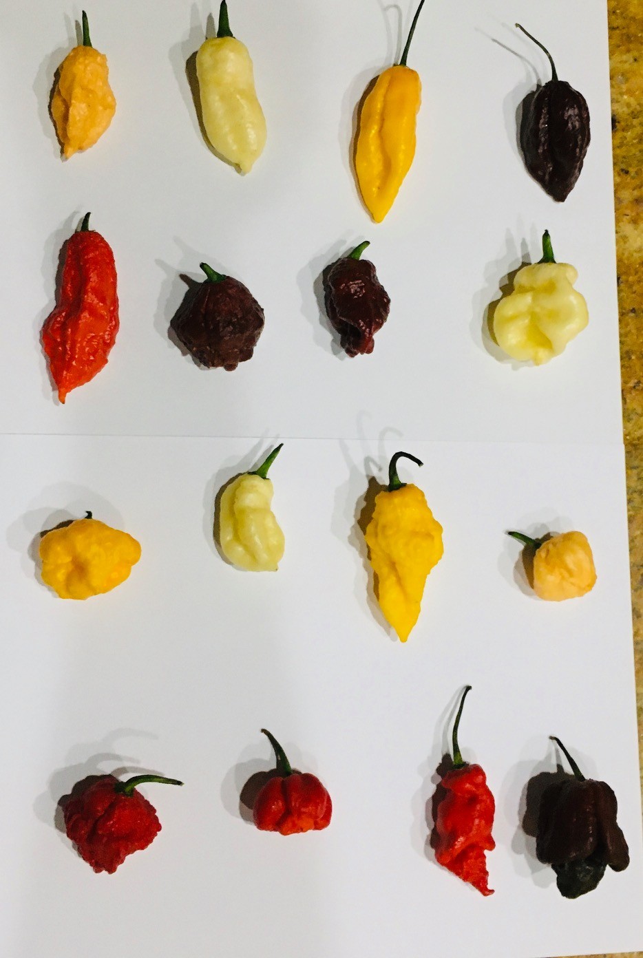 Super Hot Pepper Flakes – Scotch Bonnets, Ghost Peppers, Carolina Reaper Etc….