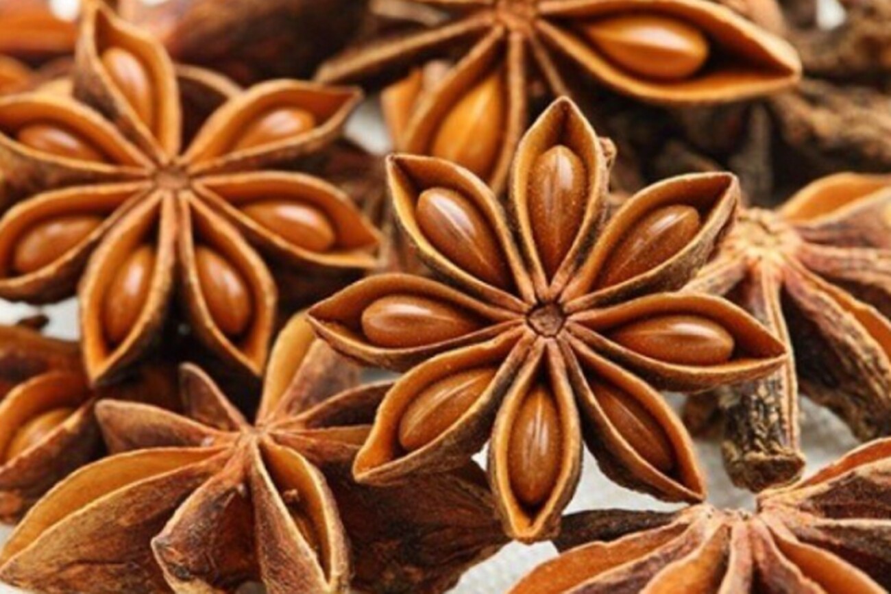 Nguan Soon No.1 Hand Brand Ground Star Anise Herbs Spices Seasoning Bottle 45 g