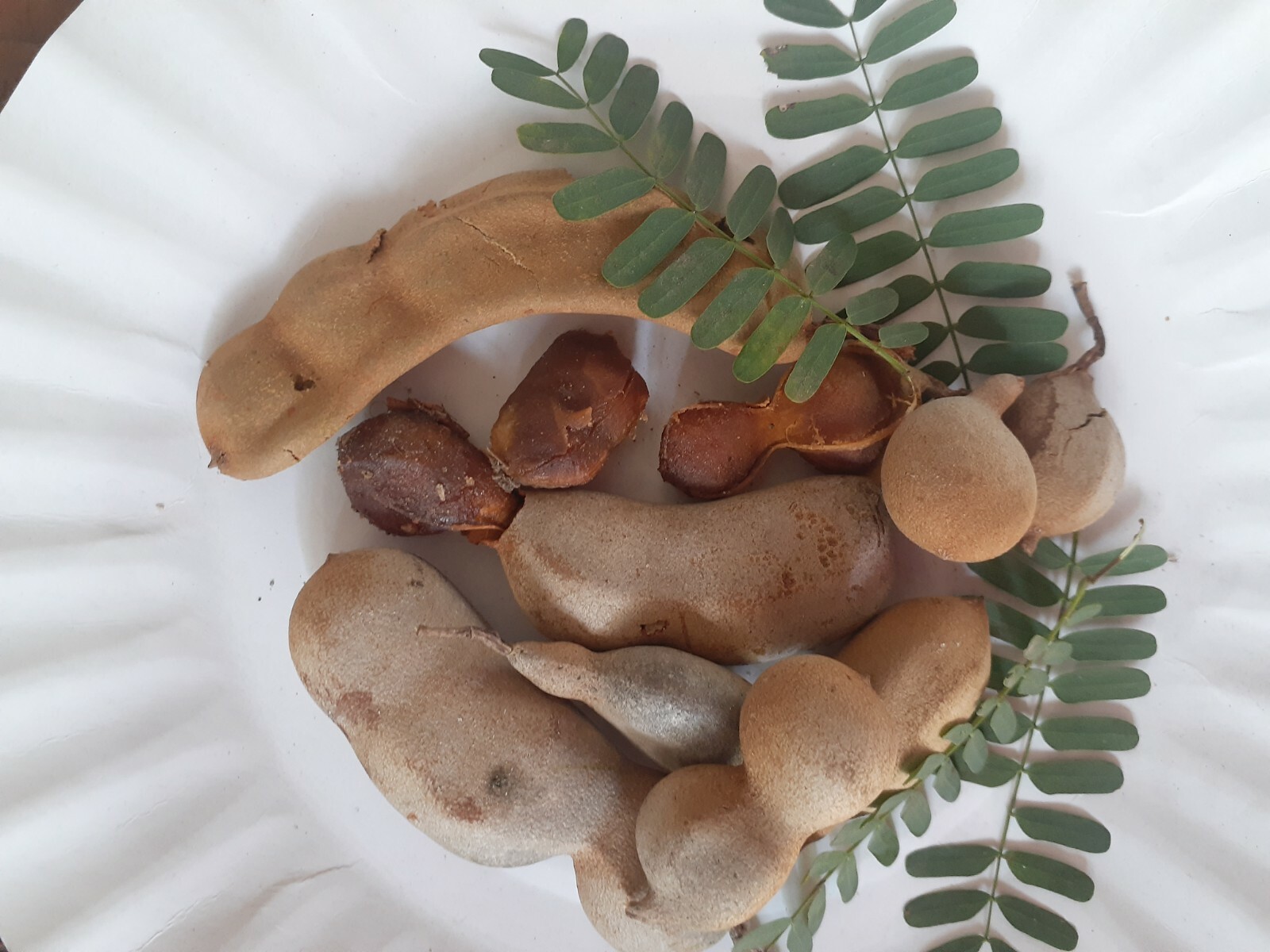 100% Natural Ceylon Dried Seedless Tamarind 50g Healthy Sun Dried