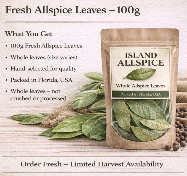 Allspice Leaves Organic 100g Whole Pimento Leaves Bay Leaf Alternative Florida