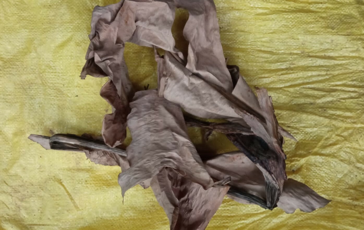 Dried Banana 100 Pieces Pet Supplies Fish Aquarium Shrimp Cleaning Organic eco
