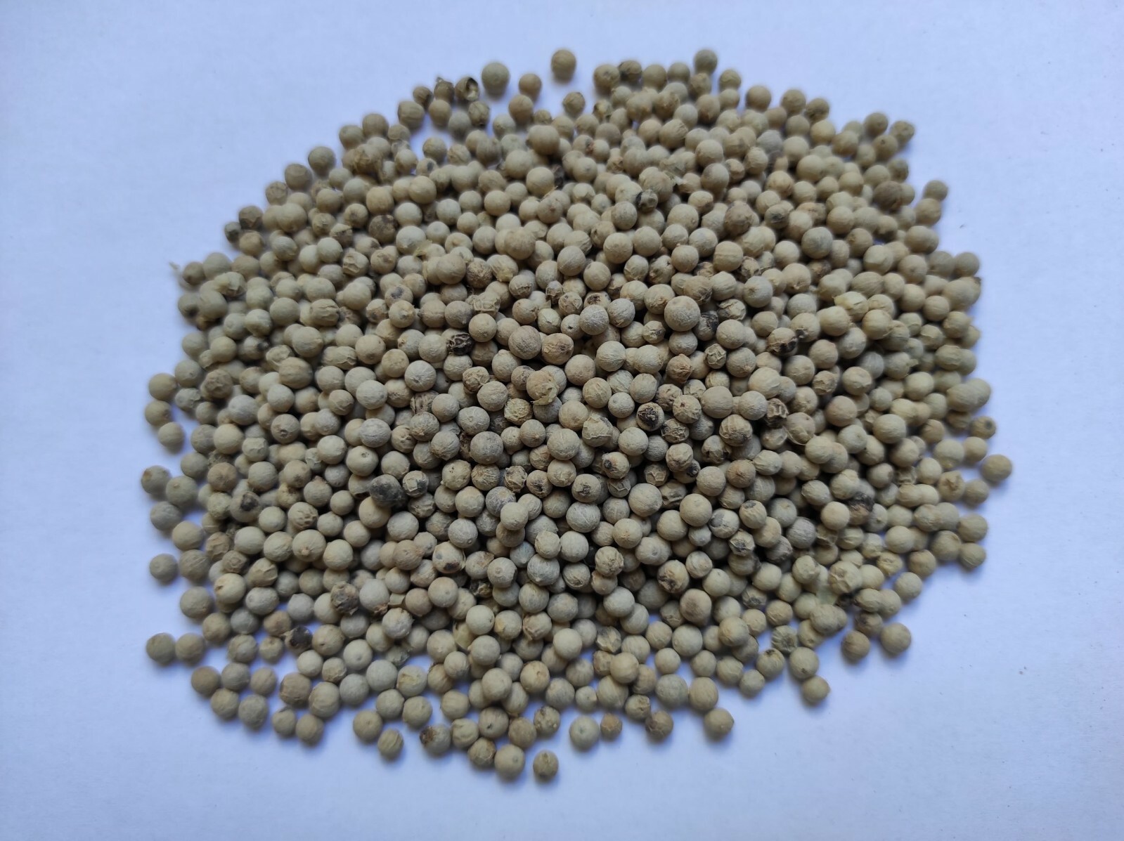 Whole White Peppercorns White Pepper 460g | Exceptional Quality