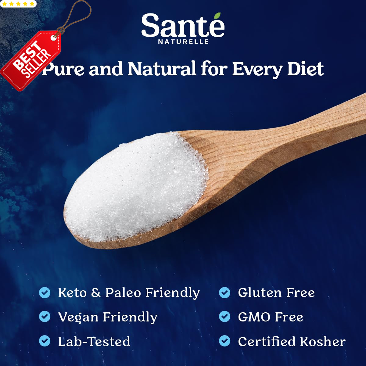Celtic Sea Salt Fine Ground 1.1lb Unrefined French Natural Mineral Salt – US