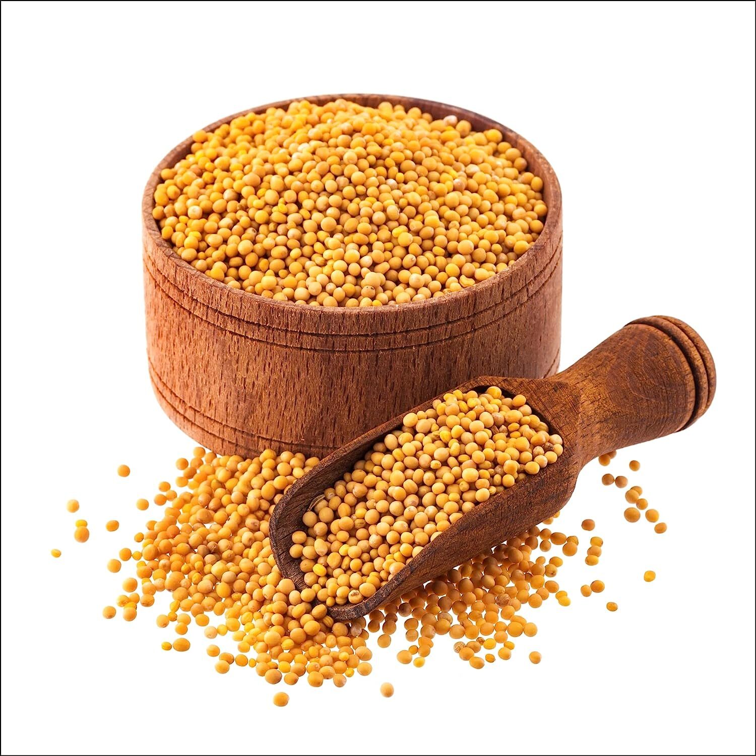 Organic Zing Yellow Mustard Seed, USDA Organic – [227g / 8 Oz – 454g/16 oz]