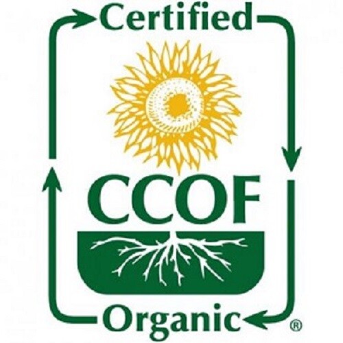 100% Organic, Jujube Powder, Freeze-Dried, Farm Direct, 红枣粉, 대추분말