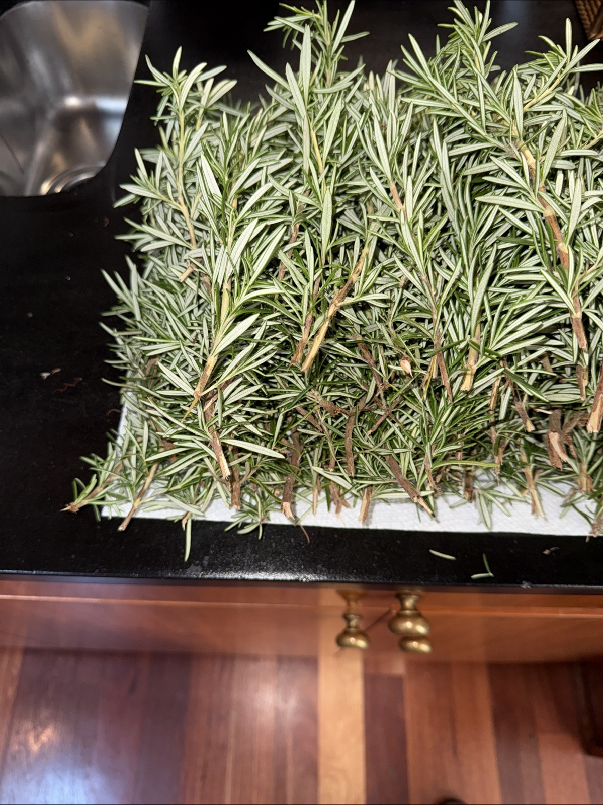 100 Stems Fresh Organic Rosemary, 100 Cuts Fresh To Order For $90.00,USA