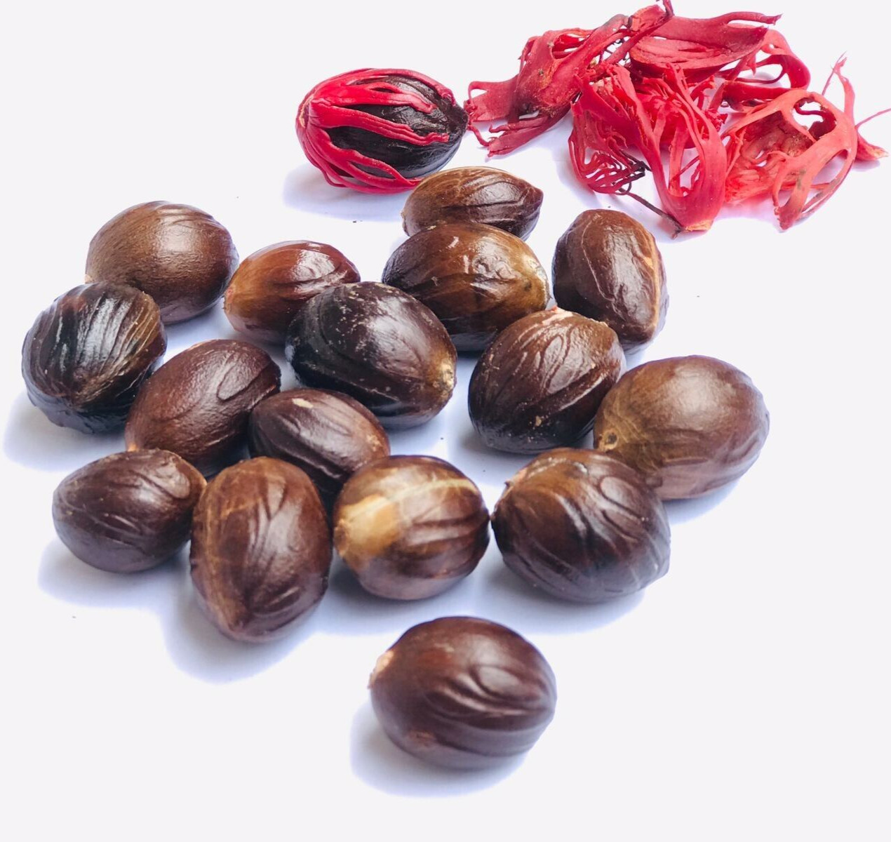 Whole Nutmeg With Shell High Quality Spices Cooking Seasoning 100% Ceylon Herbs
