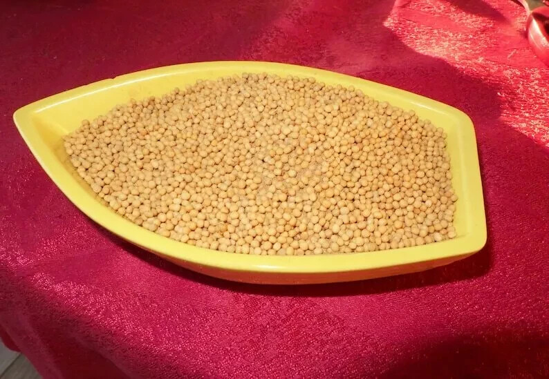 Indian Natural Yellow Mustard Seeds Spices For Cooking Food