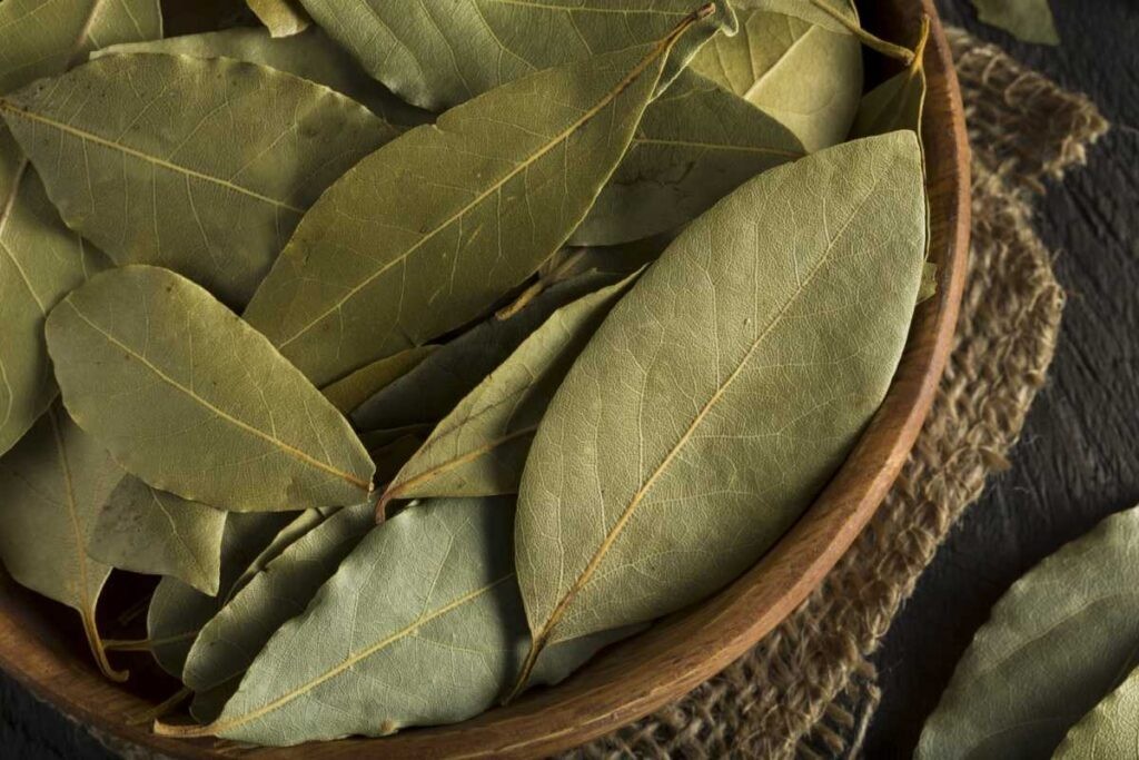 100% Premium Dried Bay Leaves (Laurus nobilis) – Aromatic Herb for Digestion
