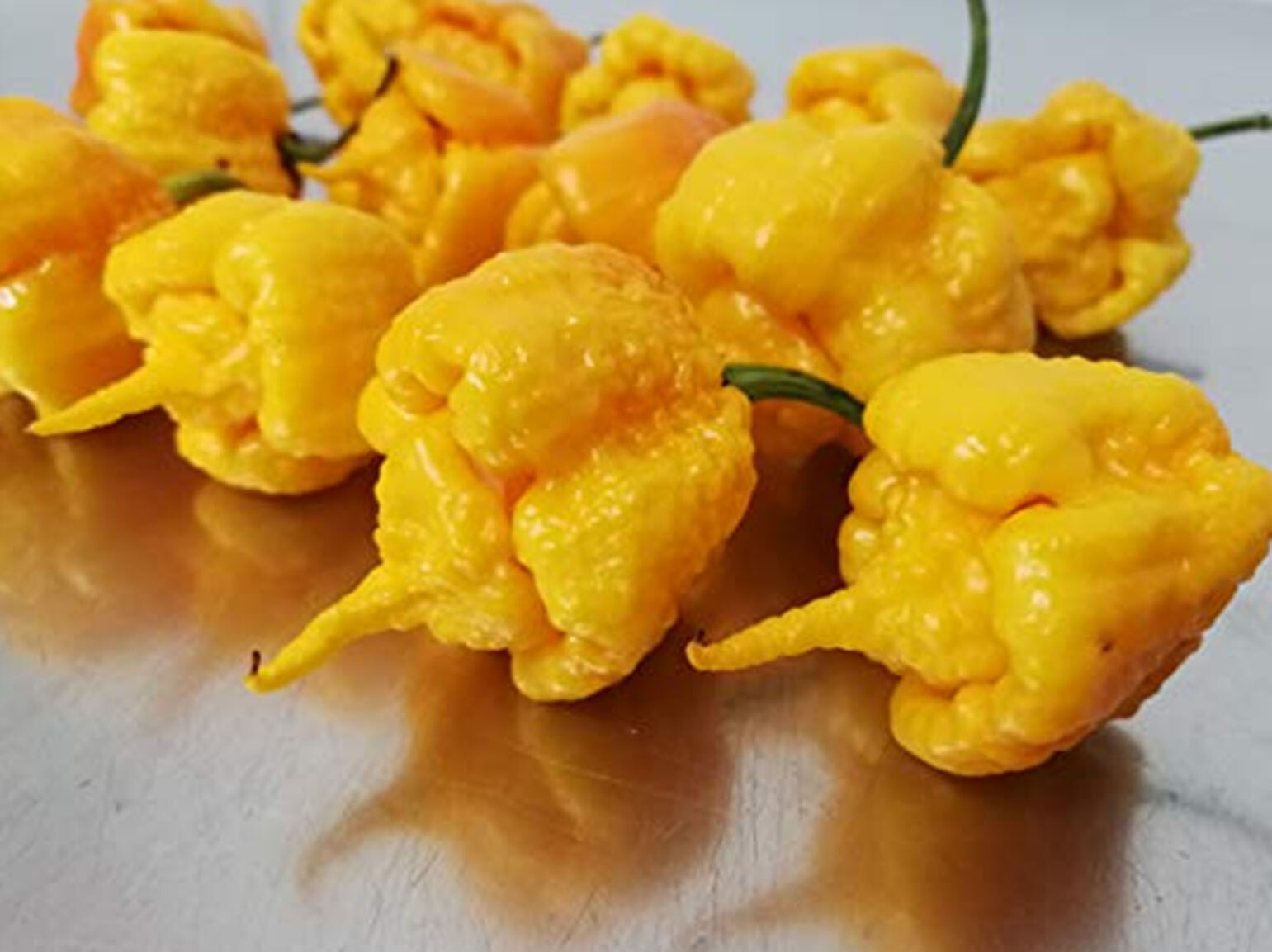 Carolina Reaper/Ghost Pepper/Moruga/Habanero various Purees available! 1 ounce