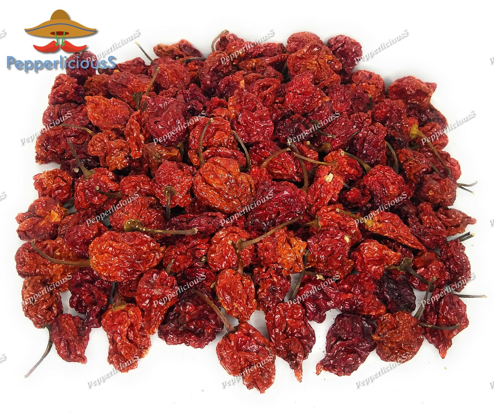 40 DRIED CAROLINA REAPER PEPPER Pods – WORLDS HOTTEST Pepper – Super Hot Quality