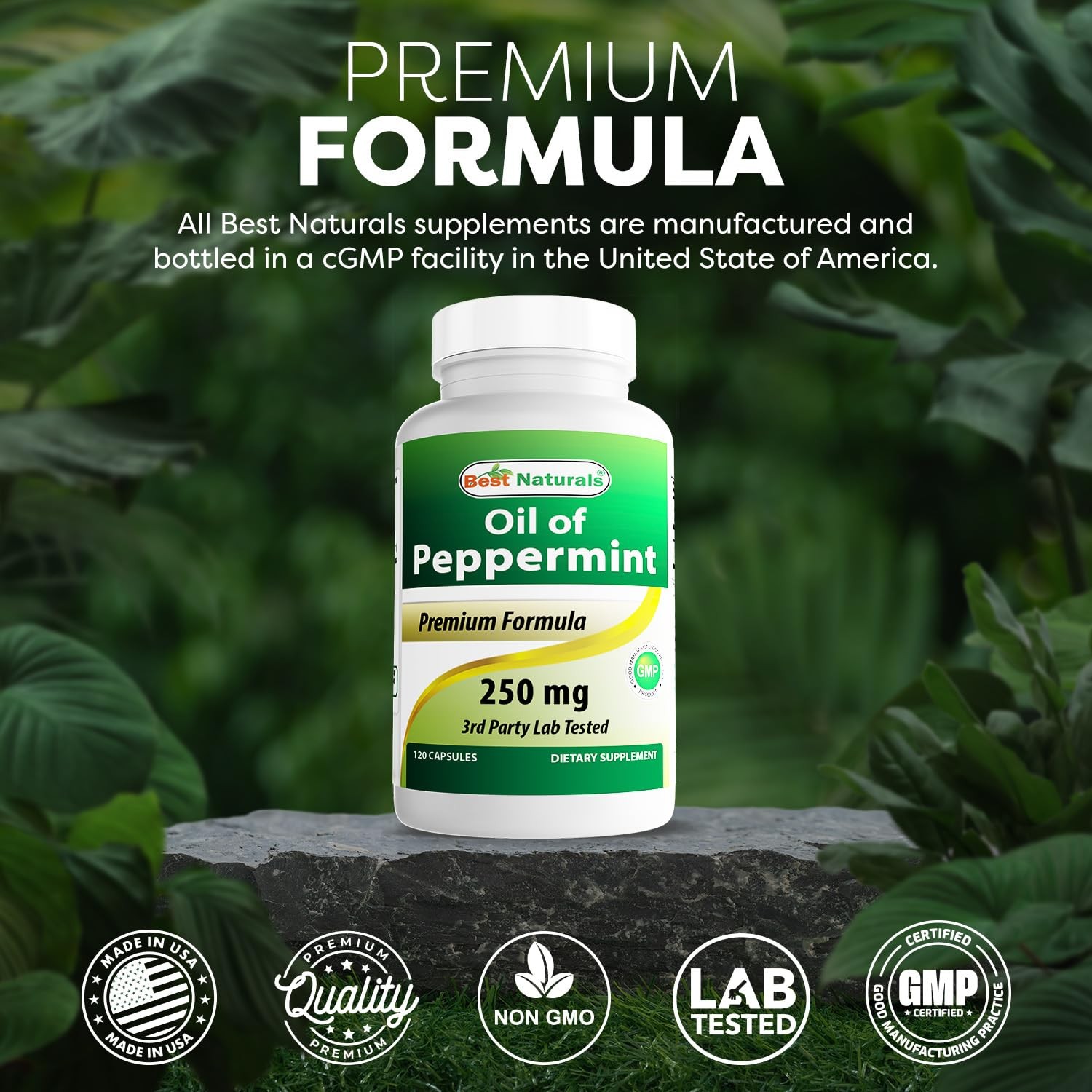 Best Naturals Peppermint Oil 250 mg 120 Capsules (120 120 Count (Pack of 2)