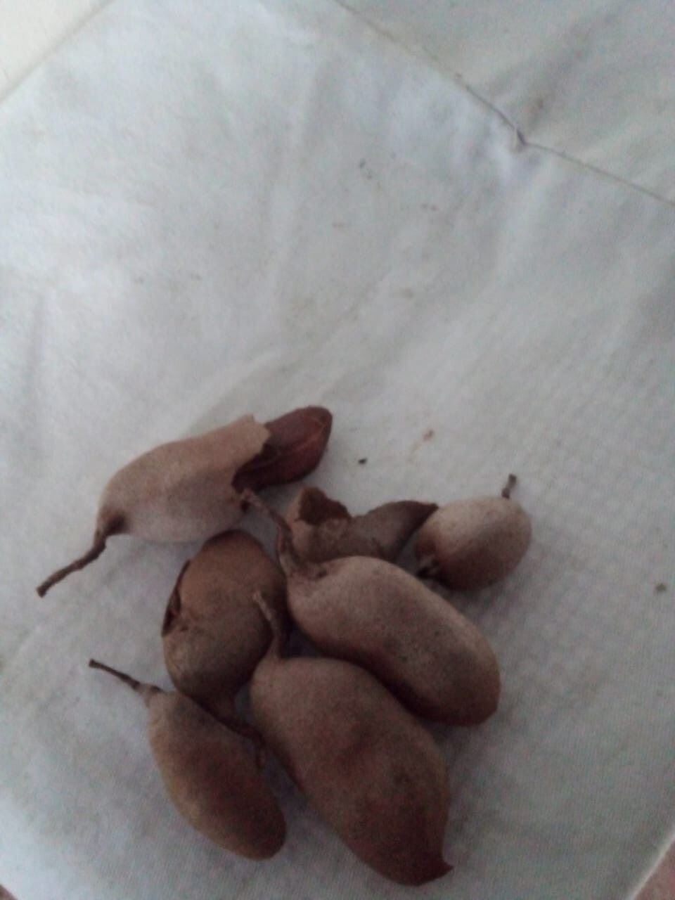 Tamarind Organic Paste Fresh Ceylon Natural Dried Without Seeds 200 Grams New