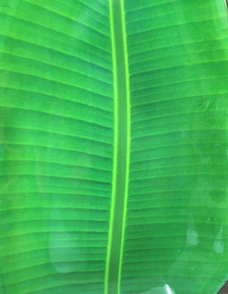High Quality Green banana Leaf Shape Strong Plate Serving Melamine Platter Tray