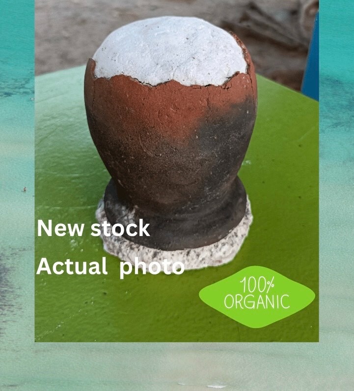 1.5kg Asin Tibuok Dino Egg Artisanal Coconut Sea Salt Bohol Philippines-FREE DHL