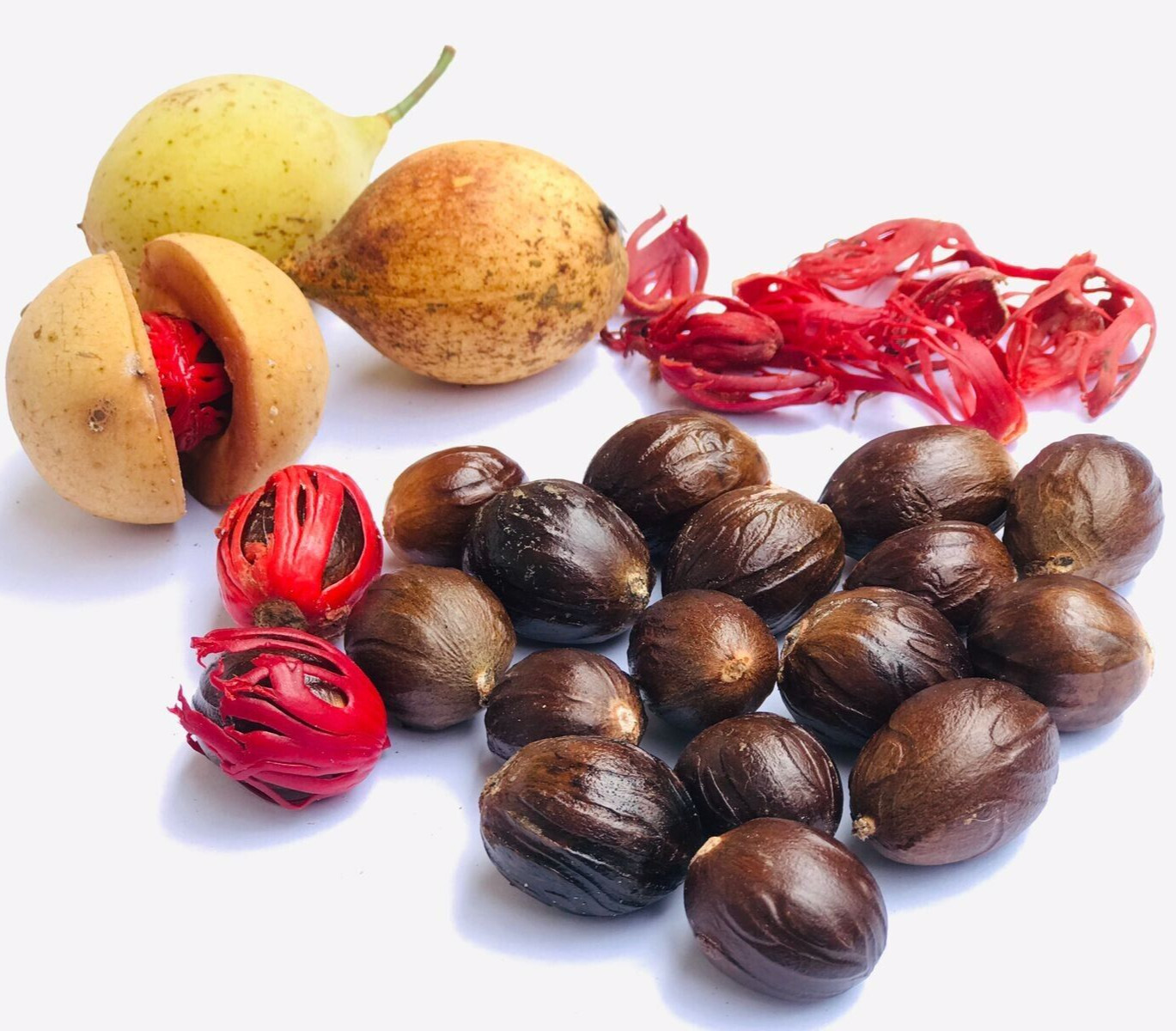 Whole Nutmeg With Shell High Quality Spices Cooking Seasoning 100% Ceylon Herbs