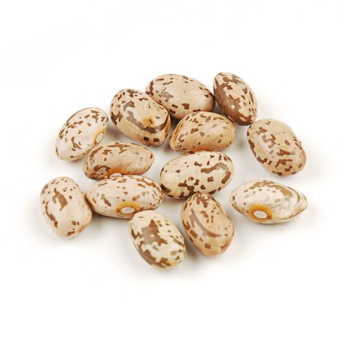 Bulk Dry Organic Pinto Beans, 10 Pound Box