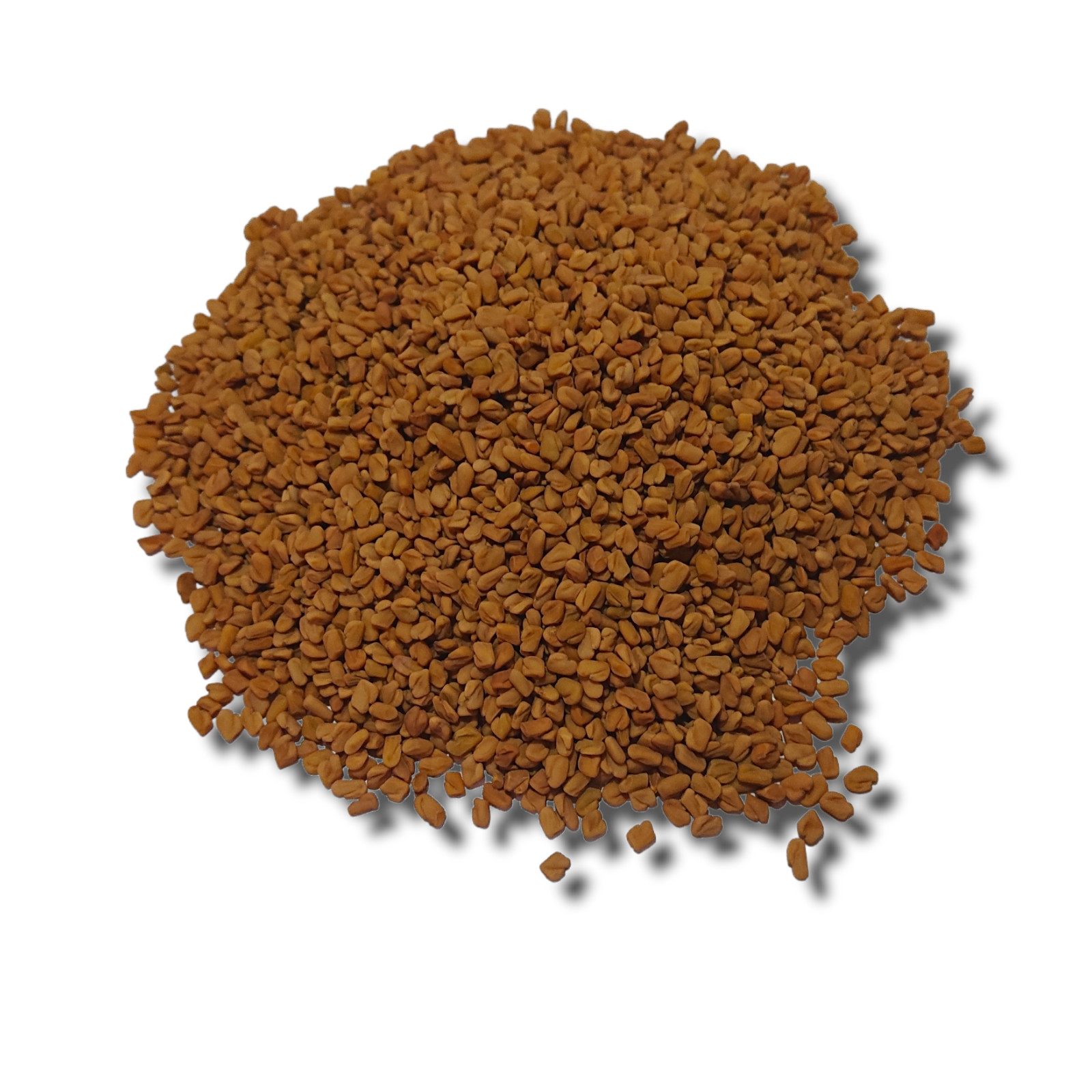 Organic Fenugreek Seed – Trigonella Foenum Graecum-best quality Ceylon spices