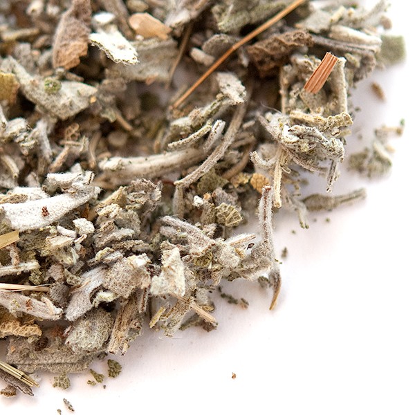 Sage, Dalmatian | Bulk | Spice Jungle