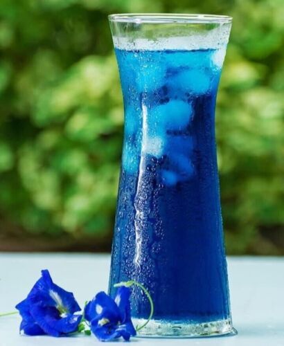 Blue Butterfly Pea Flowers Organic Pure Clitoria Ternatea Healthy Natural Drink