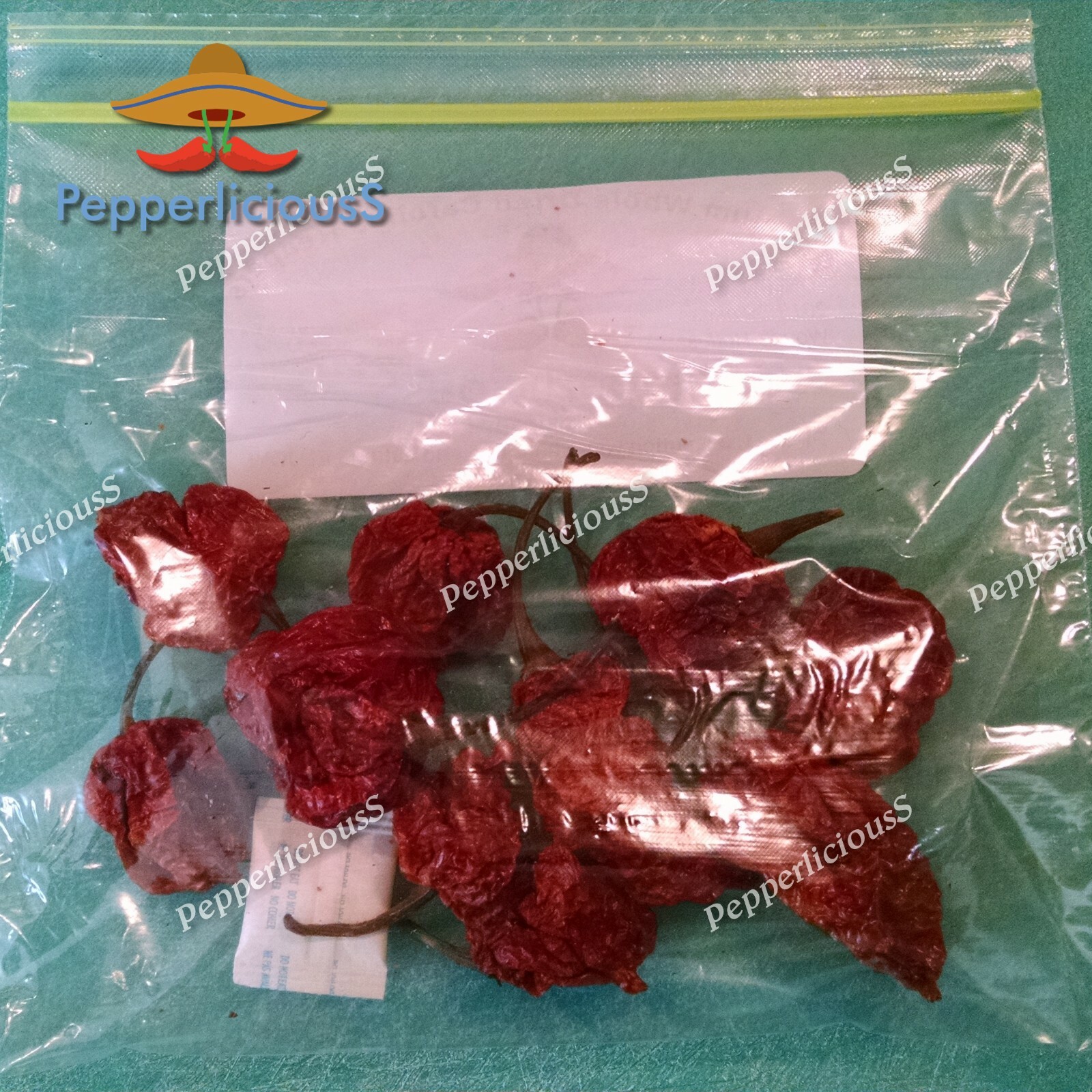 10 DRIED CAROLINA REAPER PEPPER Pods – WORLDS HOTTEST Pepper – Super Hot Quality