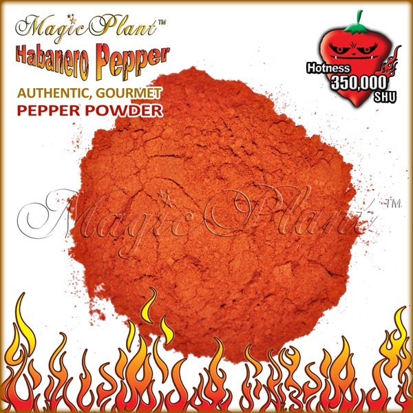 Red Habanero Powder 1kg / 2.2LB | Very Hot Dried Habanero Chili Pepper Powder