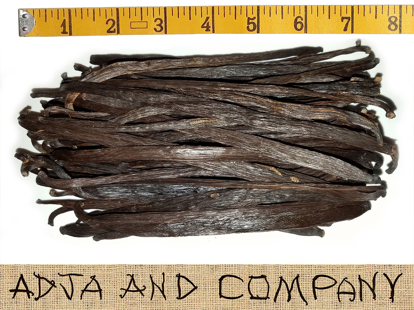 FRESH! 30 MADAGASCAR GOURMET VANILLA BEANS! GRADE ‘A’ QUALITY! + COFFEE SAMPLES!