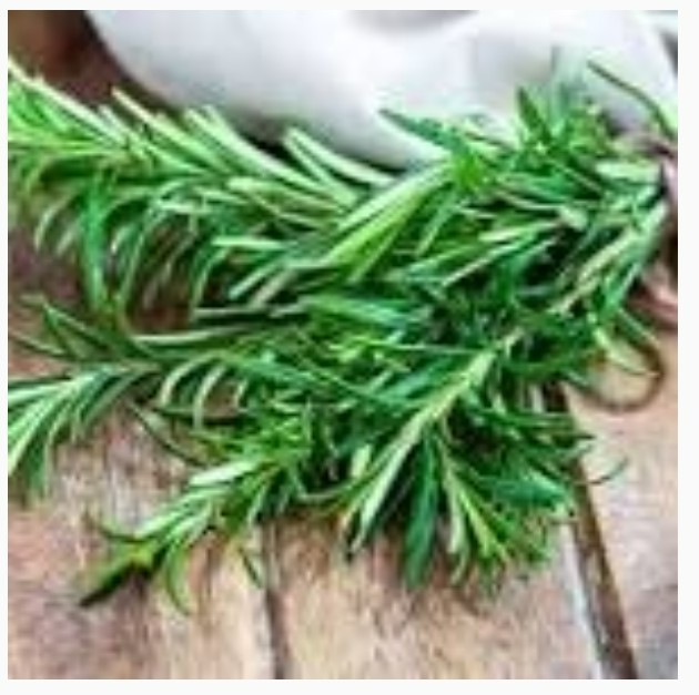 Esprit Provence, Romarin (French Provence Rosemary) in Lidded Decorative Tin