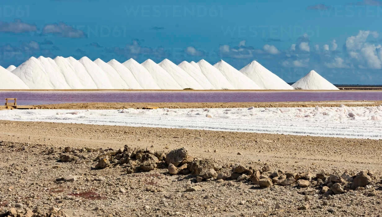 Caribbean Sea Salt from the Artisan Salts of the World by Merchant Spice Co.