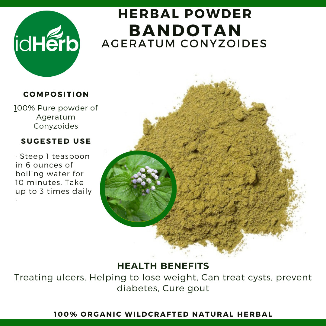 50 g – 500 g Powder Of Agetarum Conyzoides Bandotan Herbs Organic WildCrafted