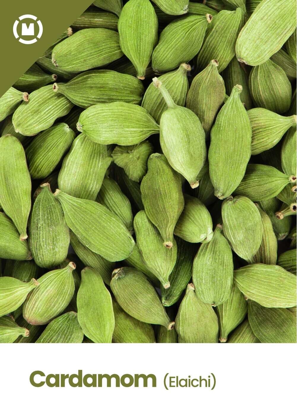 100% Natural Pure Premium and Best Quality Spice Green Cardamom Pod From India