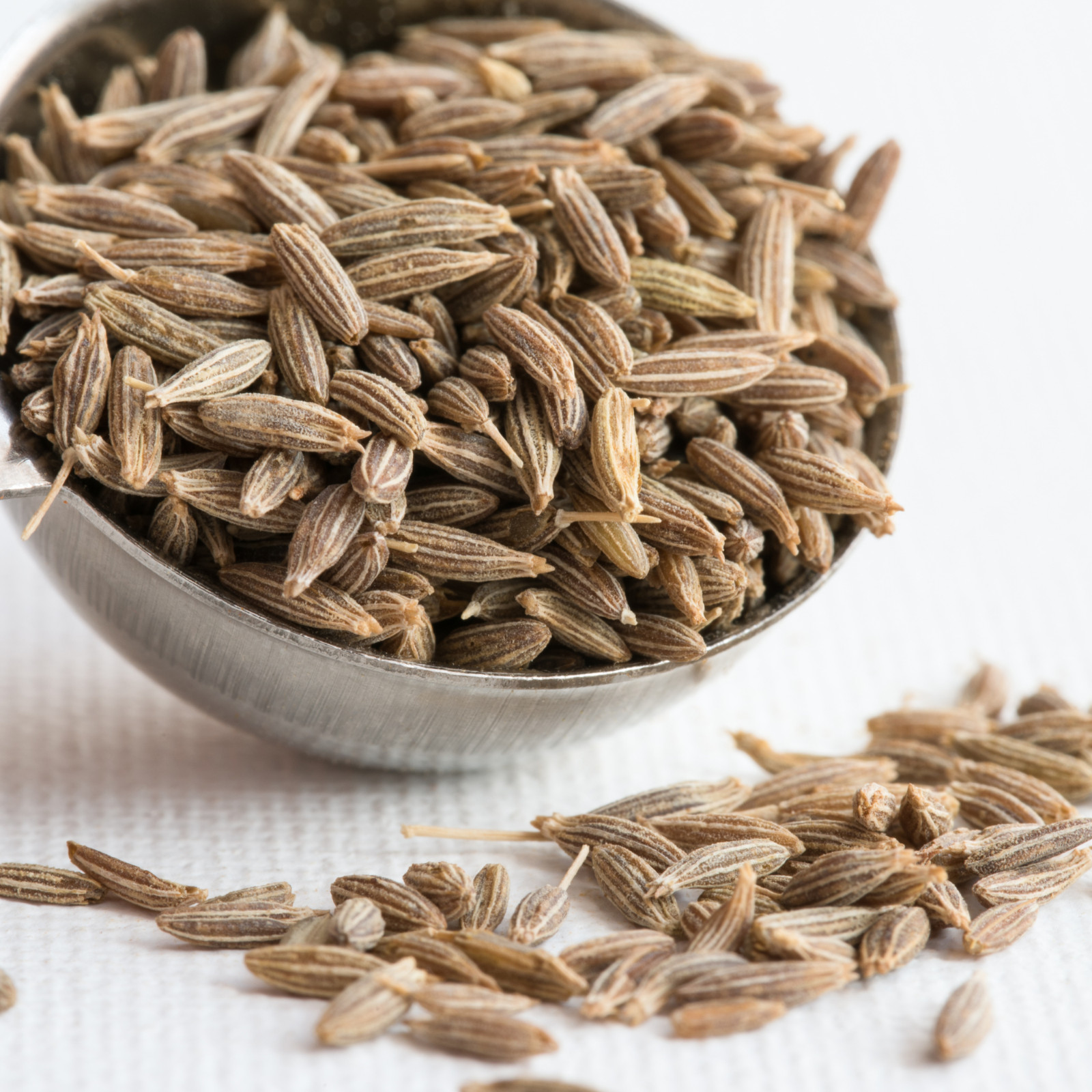 Premium Quality Cumin Seeds – Fresh from India