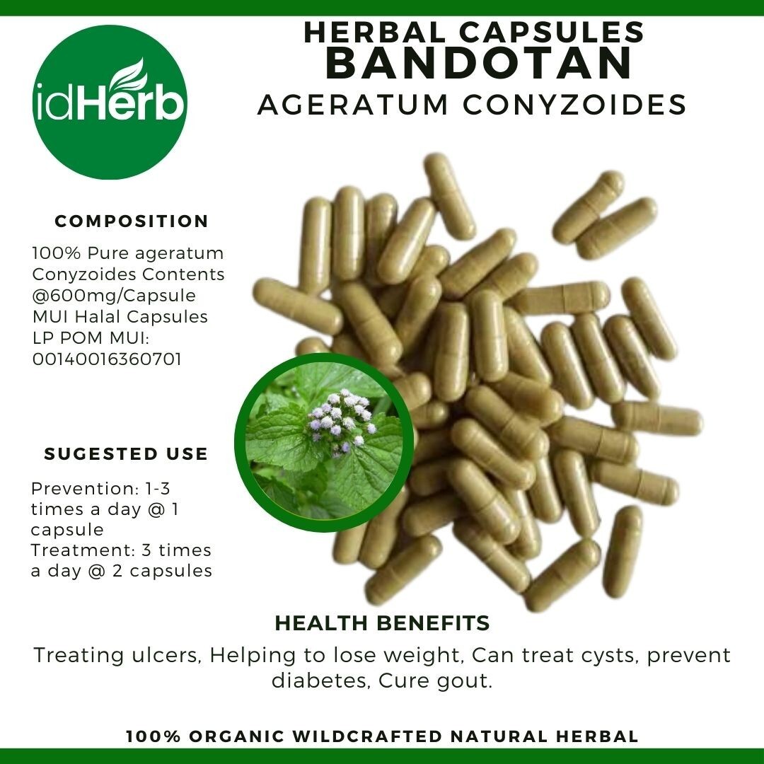 Capsules Ageratum Conyzoides Bandotan Natural herbal Organic 100% Herbs