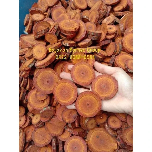 BAJAKAH ROOT Red Tampala Dried Natural Organic Herbs Spices Fresh Pure Hygienic