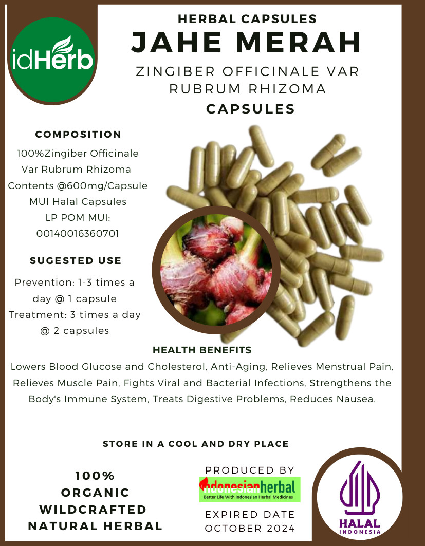 {idHerb} CAPSULE JAHE MERAH – ZINGIBER OFFICINALE VAR RUBRUM RHIZOMA NATURAL