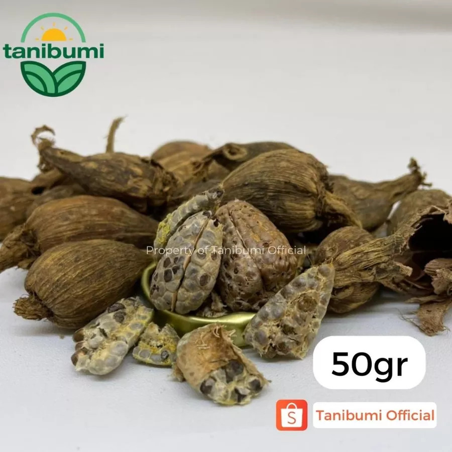 Black Cardamom Culinary Ingredient For Cooking Pantry Staple Global Flavors